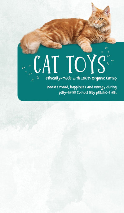 Colorful Butterfly Cat Toy