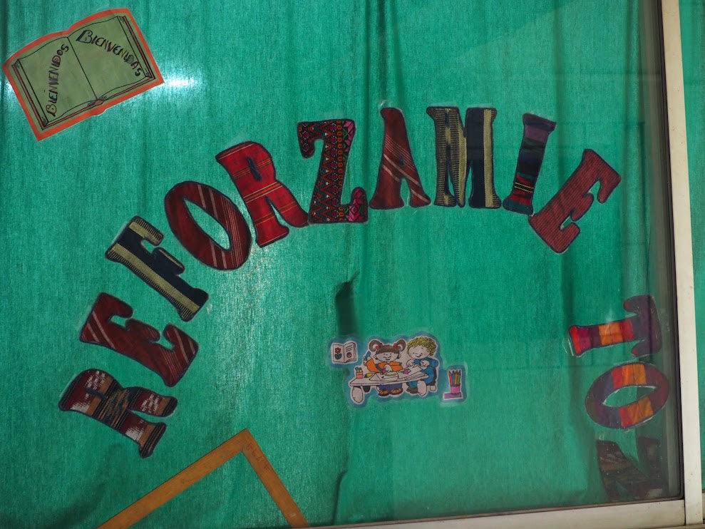 Empowering Women, Transforming Lives: Reyna's Journey with UPAVIM