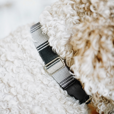 Adjustable Boho Dog Collar