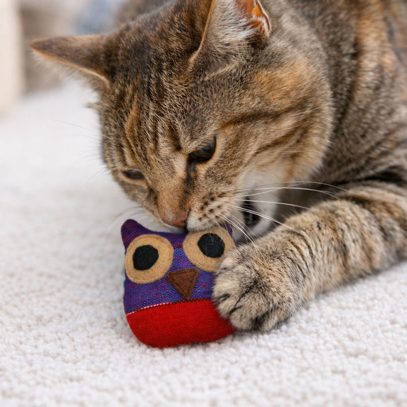 Organic Catnip Owl Cat Toy