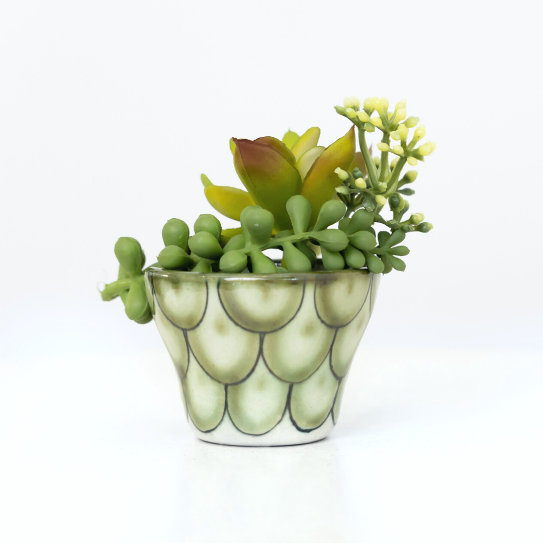 Ceramic Succulent Planter